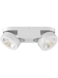 Потолочный светильник Laconis 3538/2LC