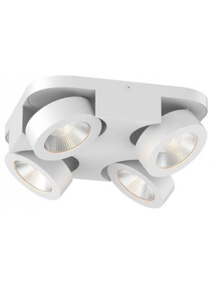 Потолочный светильник Laconis 3538/4LC