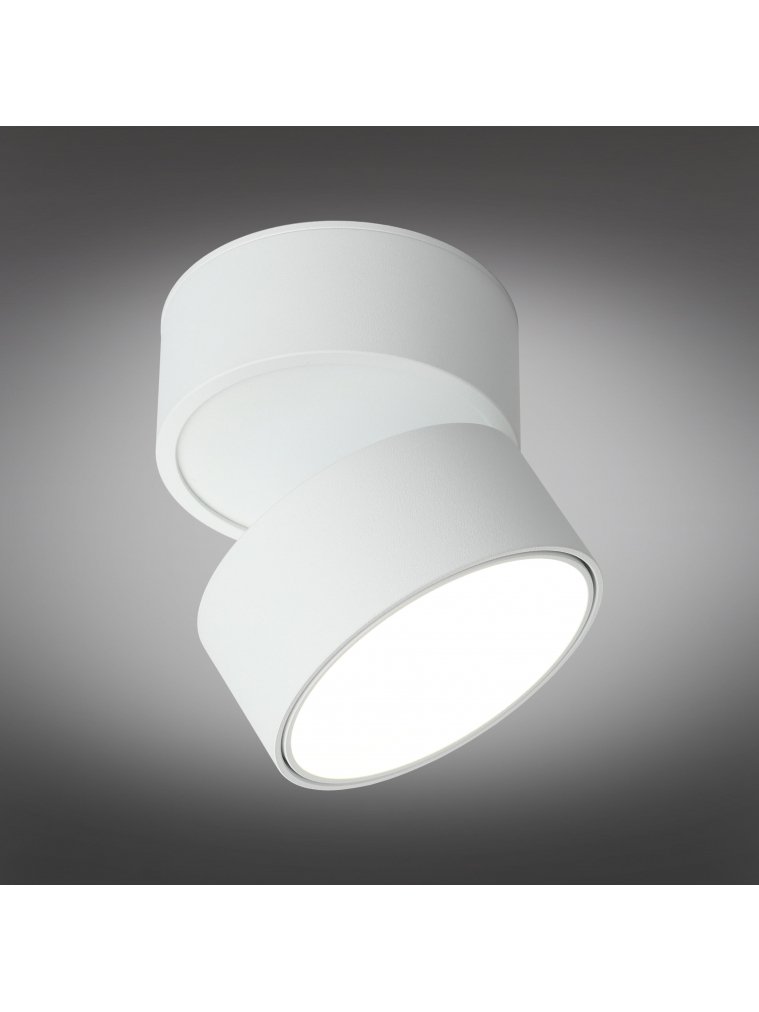 Потолочный светильник Lenno OML-101309-12