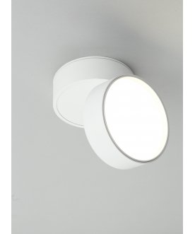 Потолочный светильник Lenno OML-101309-18