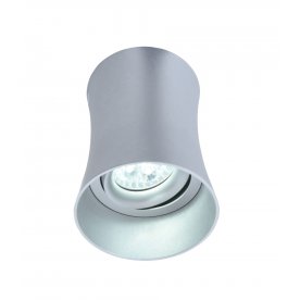 Потолочный светильник LDC 8053-B SL