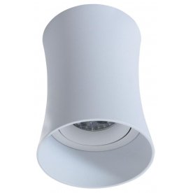 Потолочный светильник LDC 8053-B SS-D85*H115 WT