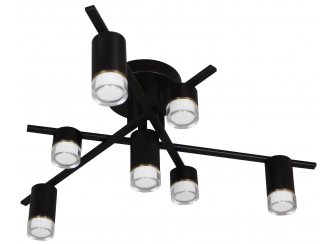 Потолочный светильник 07850-7,19