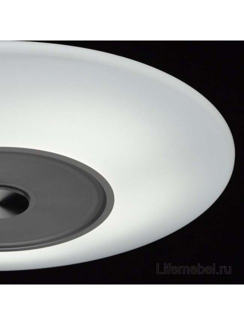 Потолочный светильник Норден 660011801