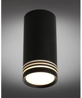 Потолочный светильник Olona OML-100819-01