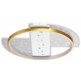 Потолочный светильник 510010501