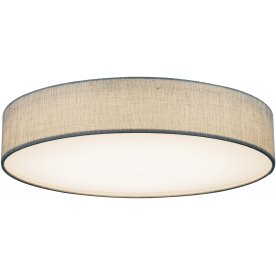 Потолочный светильник Paco 15185D4