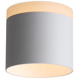 Потолочный светильник Panaggio