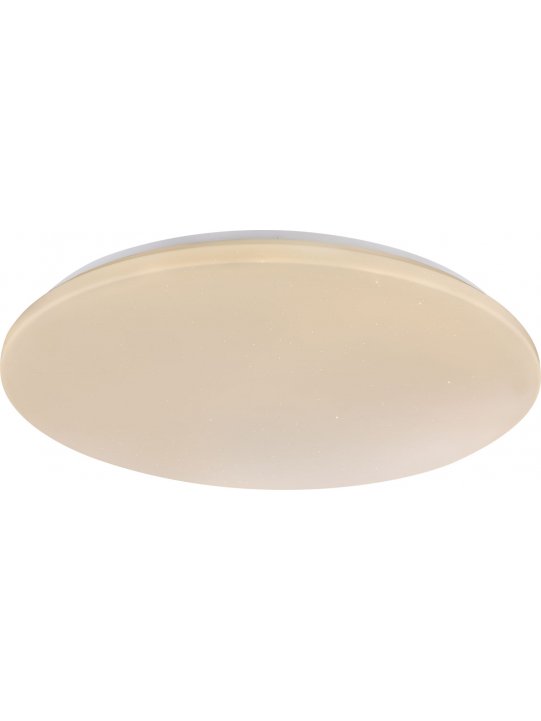 Потолочный светильник Payn 41338-60