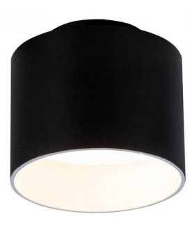 Потолочный светильник Planet C009CW-L12B