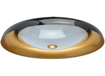 Потолочный светильник Ривз 674016501