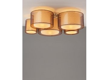 Потолочный светильник V10624-5C