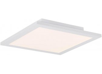 Потолочный светильник Rosi 41604D1D