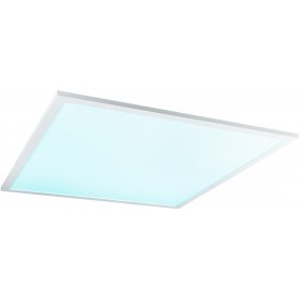 Потолочный светильник Rosi 41604D6RGB