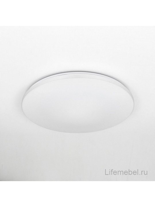 Потолочный светильник Симпла CL714R48N