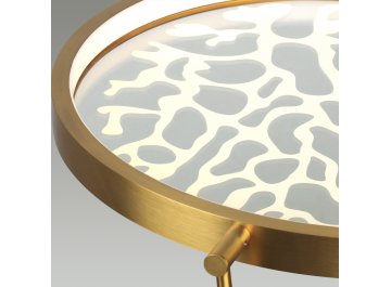 Диодный потолочный светильник Solaris 6627/36CL