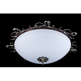 Потолочный светильник Speria C900-CL-05-R