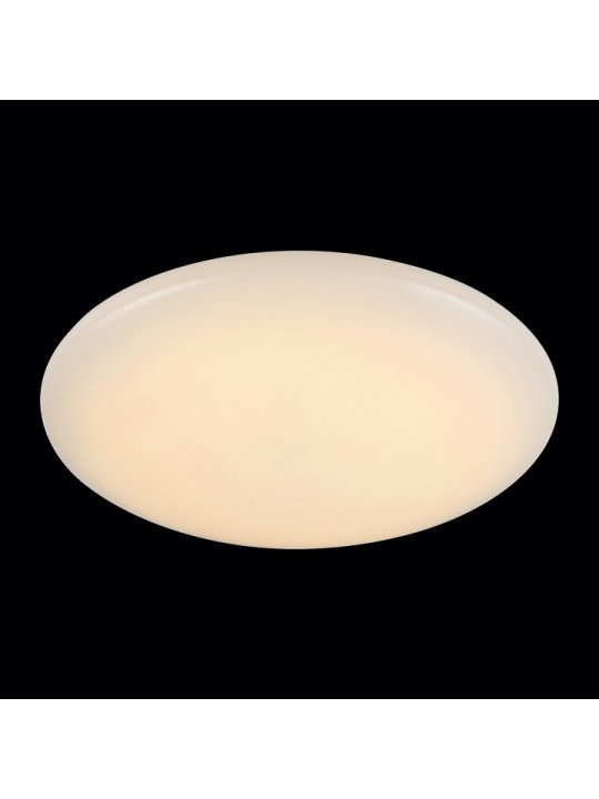 Настенно-потолочный светильник SL875.062.01