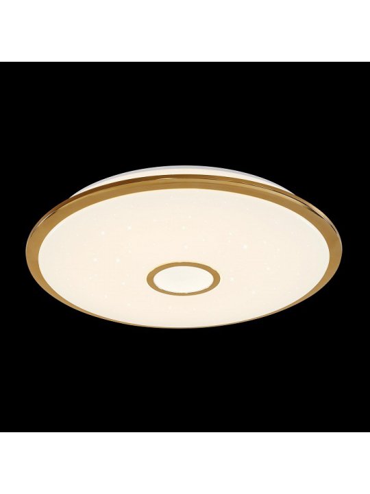 Потолочный светильник Старлайт CL703102R