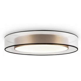 Потолочный светильник FR6005CL-L48G