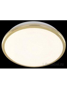 Настенно-потолочный светильник Луна CL702162W