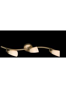 Настенно-потолочный светильник Белла CL501533