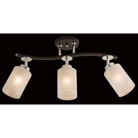 Спот Фортуна CL156131