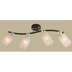 Спот Фортуна CL156141