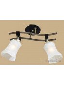 Потолочный светильник Мерида CL142123