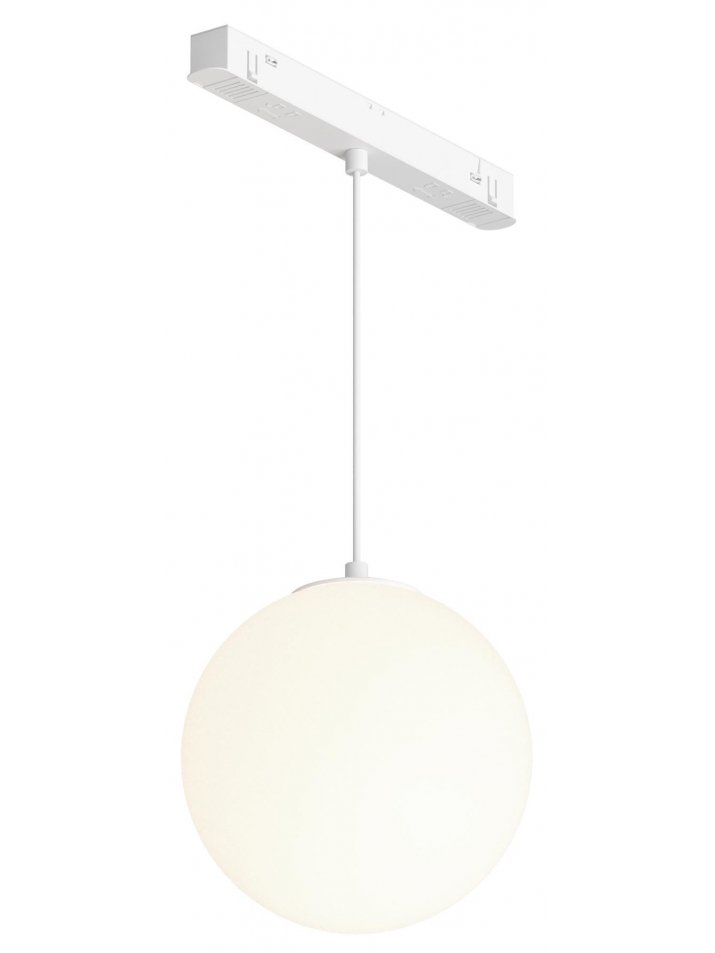 Трековый светильник Luna TR039-2-5W4K-W