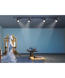 Трековый светильник Pirum 358433