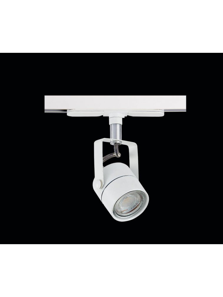 Трековый светильник Ринг CL525T10N