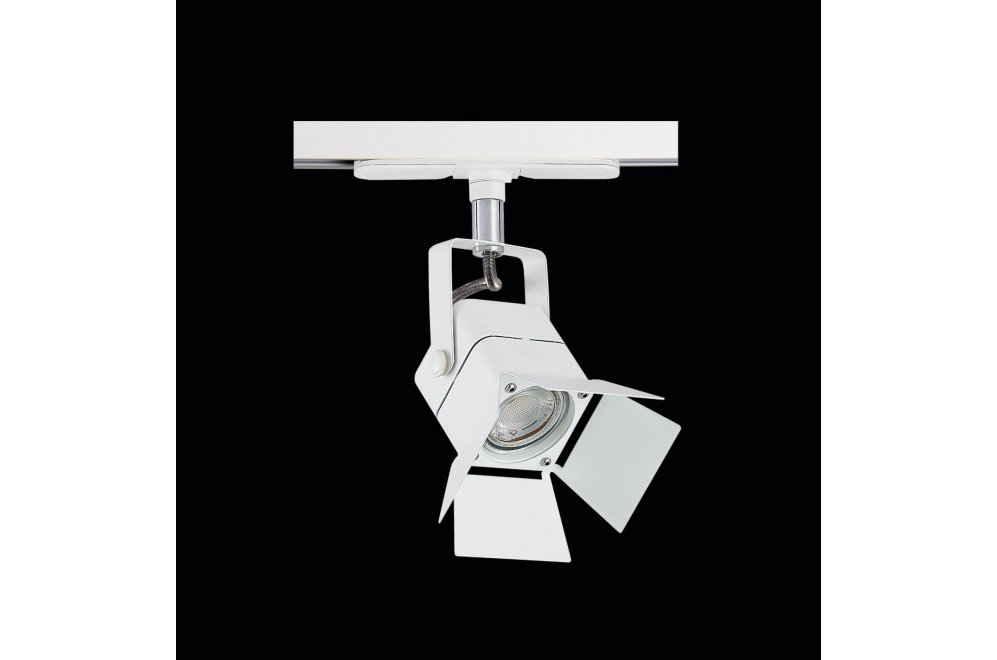 Трековый светильник Ринг CL526T10SN