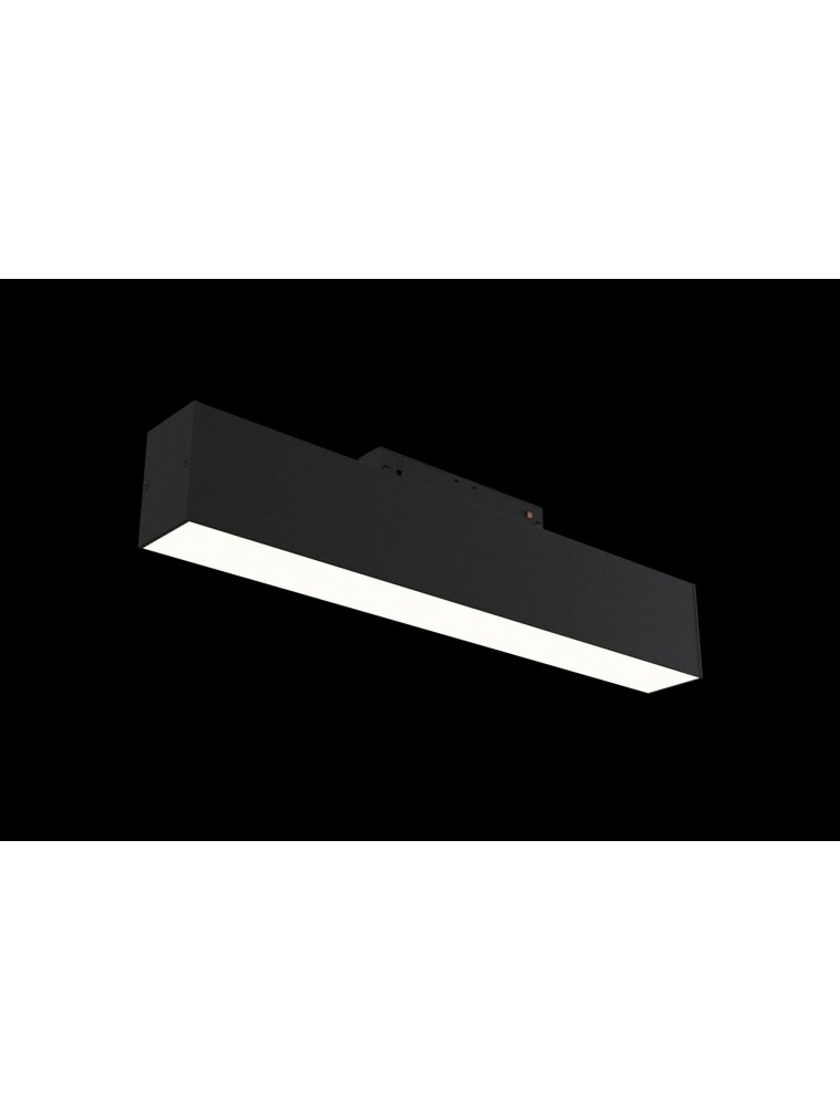 Трековый светильник Track lamps TR012-2-12W4K-B