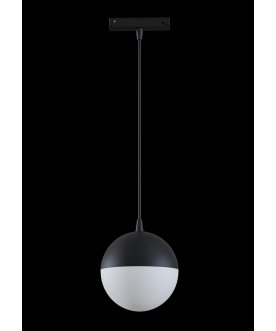 Трековый светильник lamps TR018-2-10W4K-B