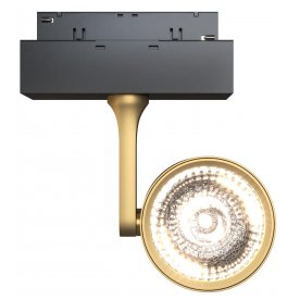 Трековый светильник TR024-2-10MG3K