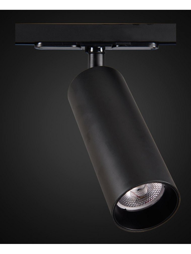 Трековый светильник Тубус CL01T181