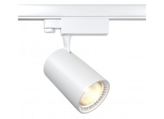 Трековый светильник TR029-3-20W3K-W