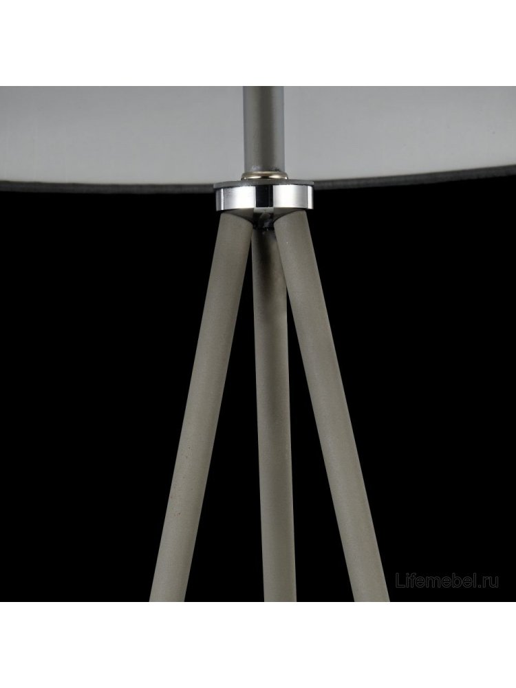 Торшер Bonita FR5152-FL-01-GR