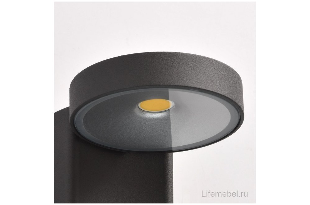 Уличный настенный светильник Меркурий 807022001