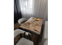 Стол Центавр бетон / графит фото покупателя 42