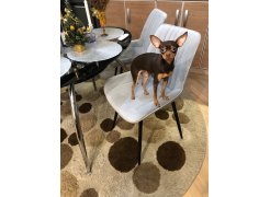 Стул на металлокаркасе Седа К крутящийся светло-серый  / белый фото покупателя 225