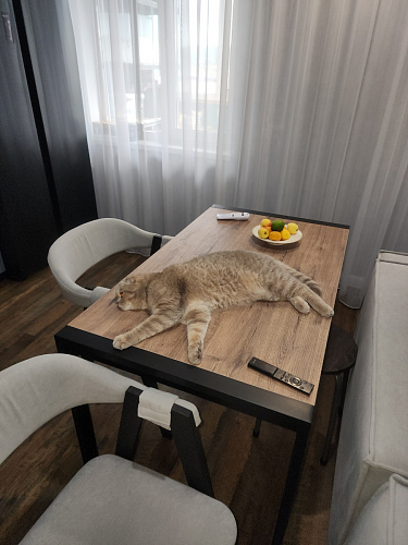 Стол Центавр дуб галифакс / черный матовый фото покупателя 42