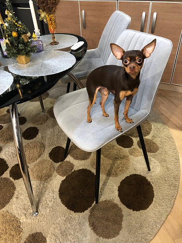 Комплект стульев Вейв 4 шт светло-серый / черный фото покупателя 225