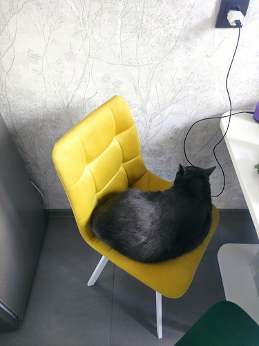 Стул на металлокаркасе Чилли бежевый / белый каркас фото покупателя 1362