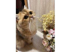 Готовая прихожая Пети дуб сонома / белый фото покупателя 80