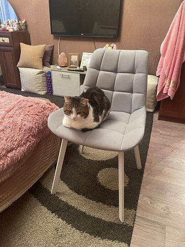 Стул на металлокаркасе Челси бирюзовый / черный фото покупателя 11