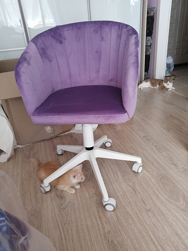 Компьютерное кресло Тибо 01 светло-коричневый / черный фото покупателя 41