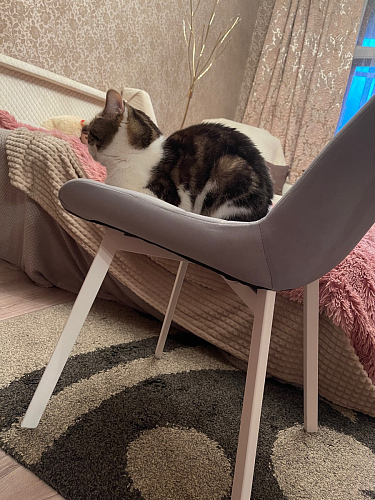 Стул на металлокаркасе Челси морская волна / черный фото покупателя 132