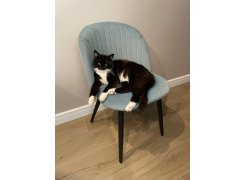 Стул на металлокаркасе Gabi 1 бежевый / черный с серебряными наконечниками фото покупателя 325